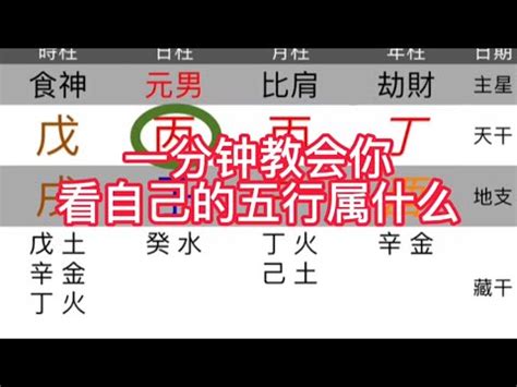 五行缺|免費生辰八字五行屬性查詢、算命、分析命盤喜用神、喜忌